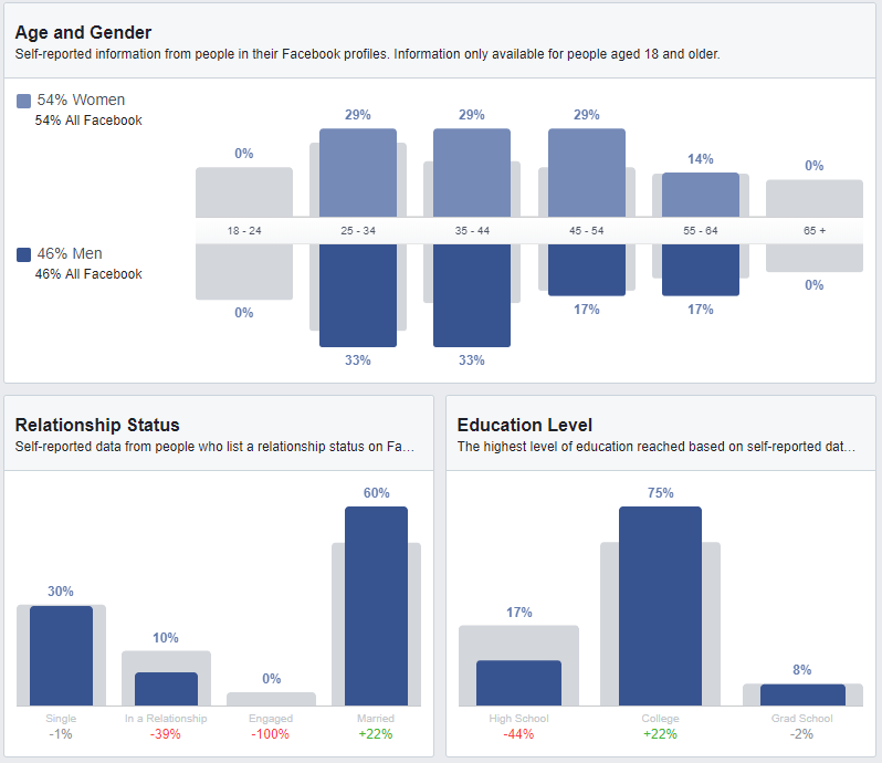 audience insights